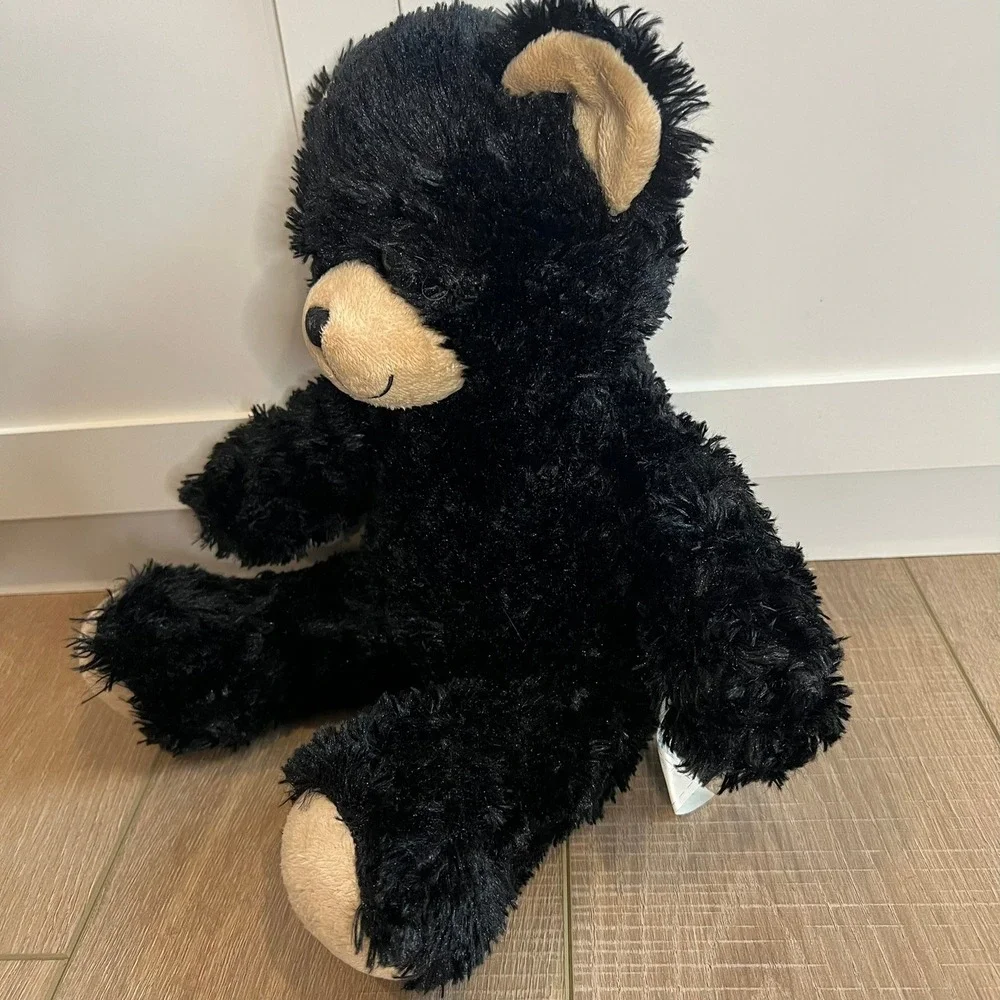 Build-a-bear Black teddy‎ bear stuffed animal
